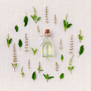 plantes, remède, naturopathie